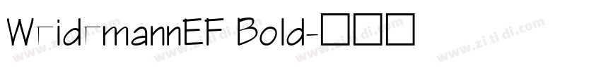 WeidemannEF Bold字体转换